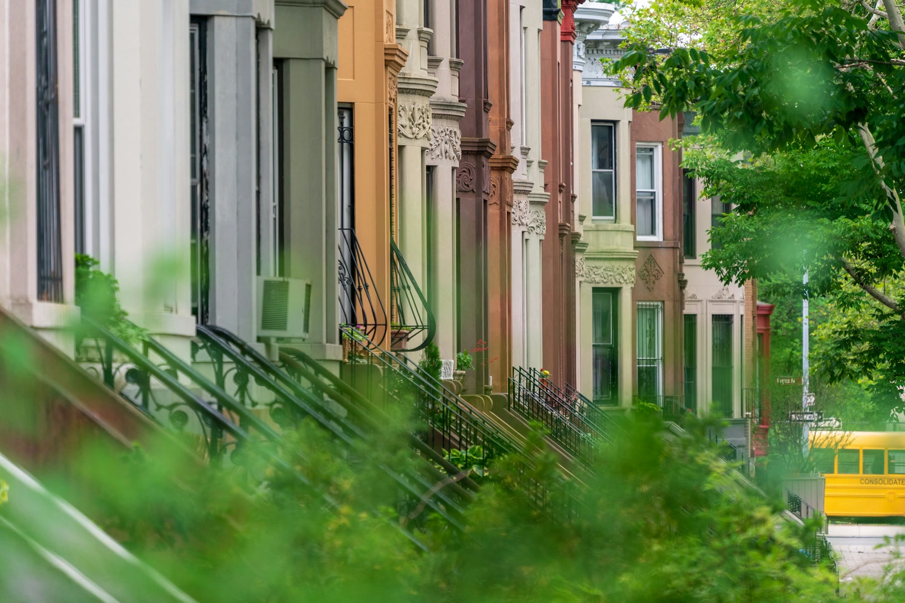 Tree-lined Brooklyn brownstones in spring